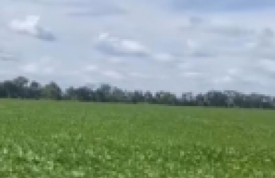 Fazenda para venda em Curralinhos